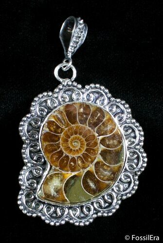 Ammonite Pendant #2833